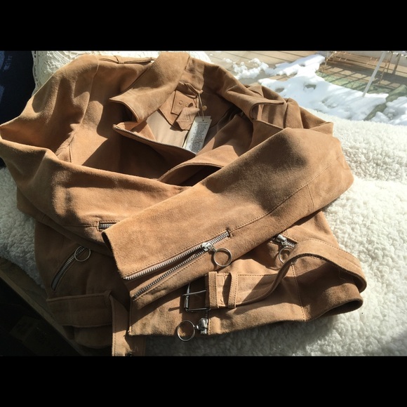 Suede moto jacket - Picture 7 of 7